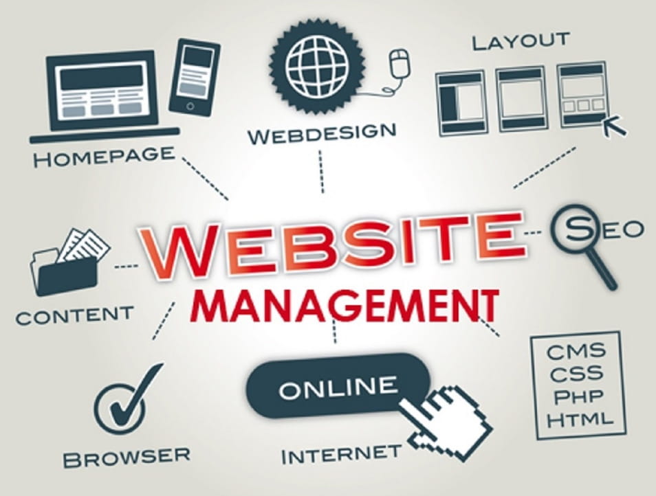 website management services